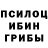 Галлюциногенные грибы Psilocybe peetezaah