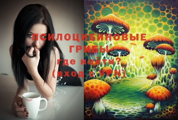таблы Гусиноозёрск