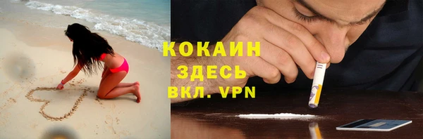спиды Гусев