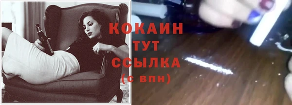 спиды Гусев