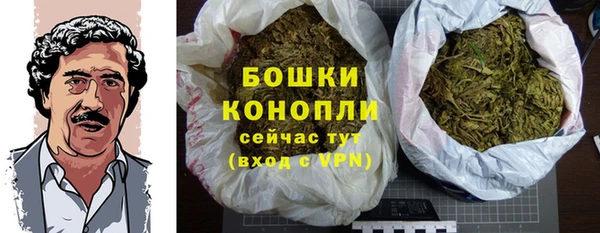 спиды Гусев