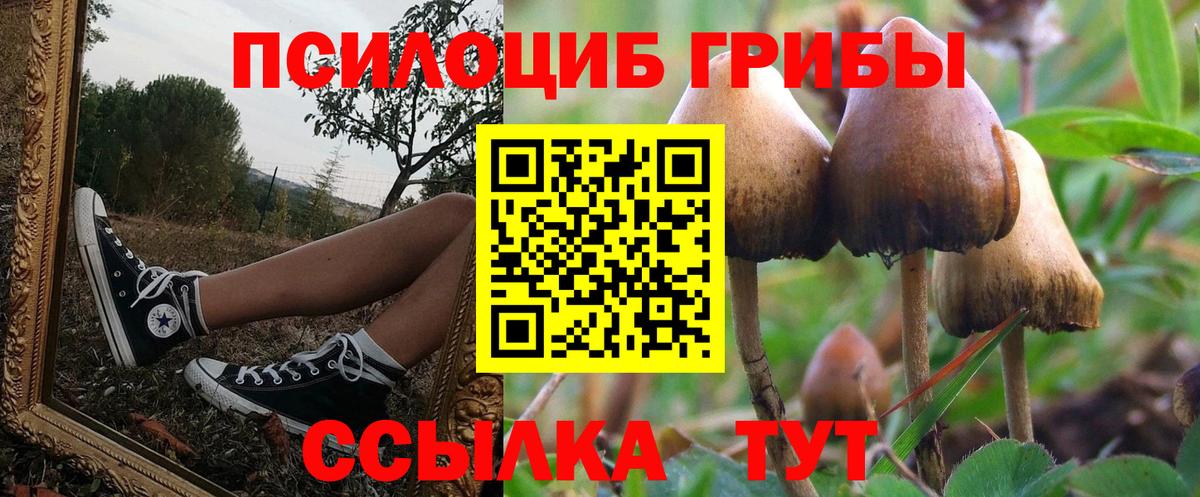 Псилоцибиновые грибы Cubensis Донецк