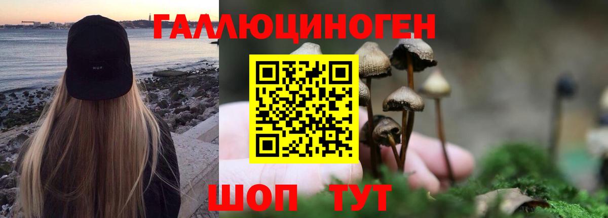 Донецк  Псилоцибиновые грибы GOLDEN TEACHER  Вход с VPN 